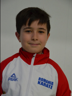 mocanuraul2014